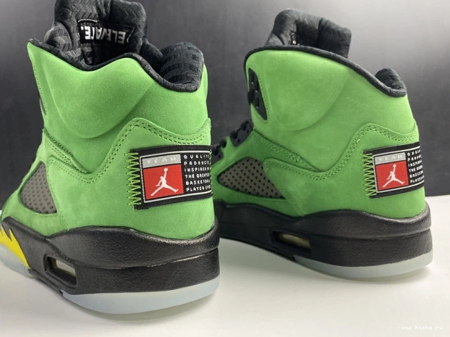 Chep Onekick Jordan Air Ducks Oregon SE 5 CK6631-307 0731